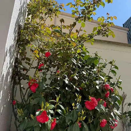 En Bord De Appartement